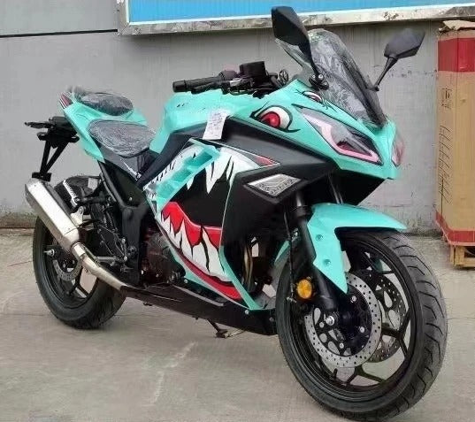 250cc Sports Motorcycle | High-Performance Road Racing Bike | Fuel Motorbike Similar to Kawasaki Ninja